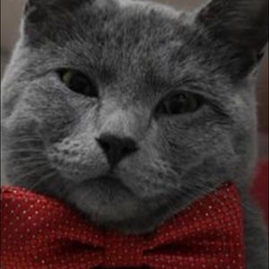 Meet your Posher, Chan